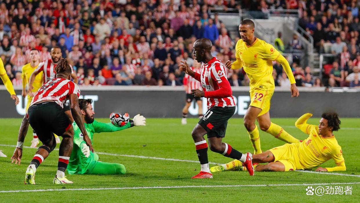 成都蓉城青岛海牛直播