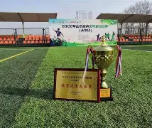 女足比赛作文900字